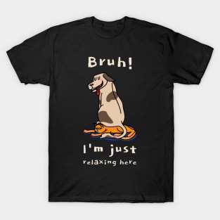 Bruh I'm Just Relaxing Here Sibling Rivalry T-Shirt